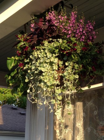 Another New Porch Basket