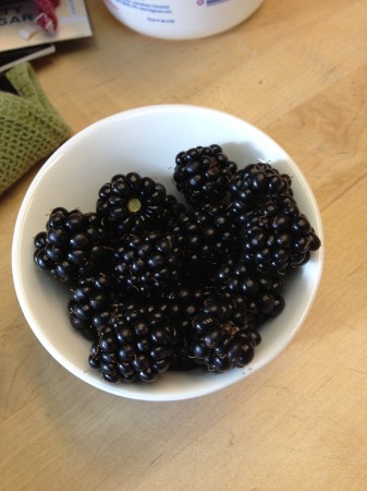 Blackberry harvest