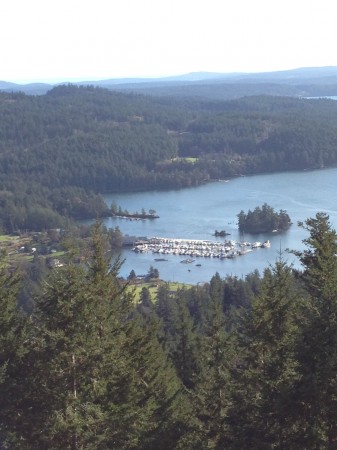 Turtleback Hike-Marina Vista