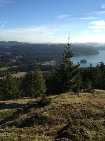 Sun on Turtleback